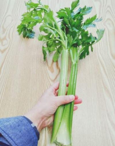 샐러리 (Celery) 1포기 1kg 내외 미리보기 이미지