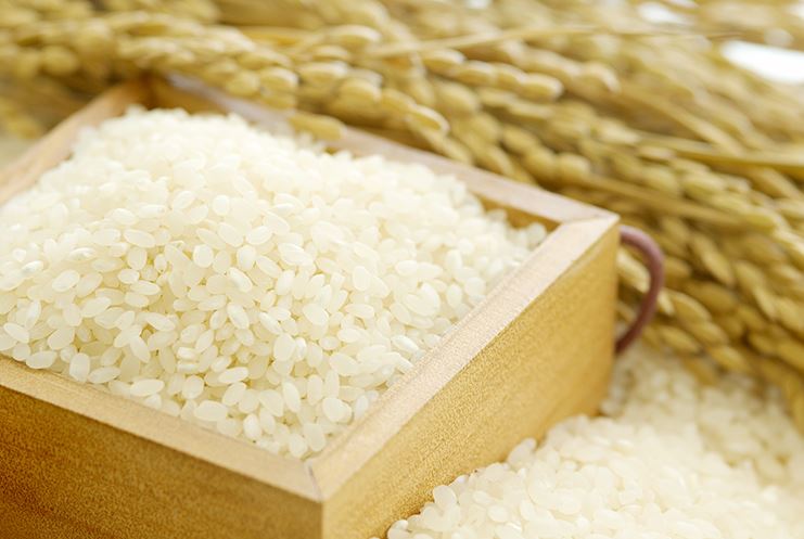 국내산 쌀 백미 10kg